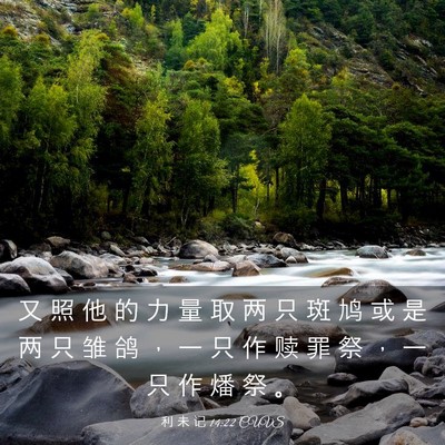 Picture 03 - 利 未 记 14:22 CUVS - 又 照 他 的 力 量 取 两 只 斑 鸠 或 - Bible Verse Picture