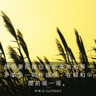 Picture 03 - 利 未 记 14:24 CUVS - 祭 司 要 把 赎 愆 祭 的 羊 羔 和 那 - Bible Verse Picture