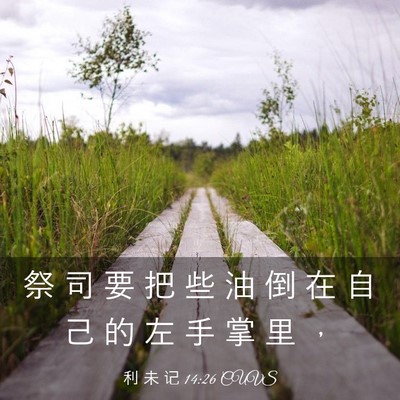 Picture 03 - 利 未 记 14:26 CUVS - 祭 司 要 把 些 油 倒 在 自 己 的 左 - Bible Verse Picture