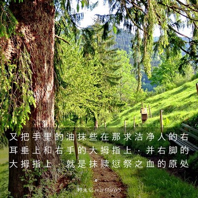 Picture 03 - 利 未 记 14:28 CUVS - 又 把 手 里 的 油 抹 些 在 那 求 洁 - Bible Verse Picture