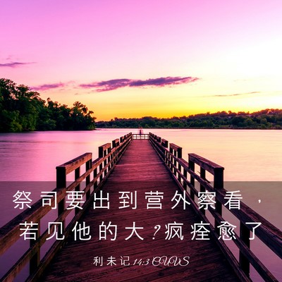 Picture 03 - 利 未 记 14:3 CUVS - 祭 司 要 出 到 营 外 察 看 ， 若 见 - Bible Verse Picture