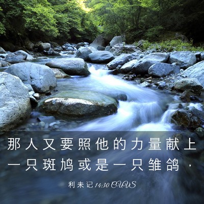 Picture 03 - 利 未 记 14:30 CUVS - 那 人 又 要 照 他 的 力 量 献 上 一 - Bible Verse Picture