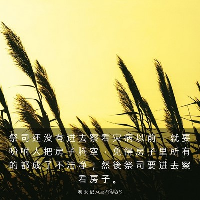 Picture 03 - 利 未 记 14:36 CUVS - 祭 司 还 没 有 进 去 察 看 灾 病 以 - Bible Verse Picture