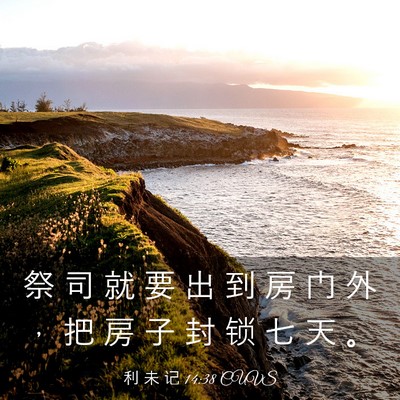 Picture 03 - 利 未 记 14:38 CUVS - 祭 司 就 要 出 到 房 门 外 ， 把 房 - Bible Verse Picture
