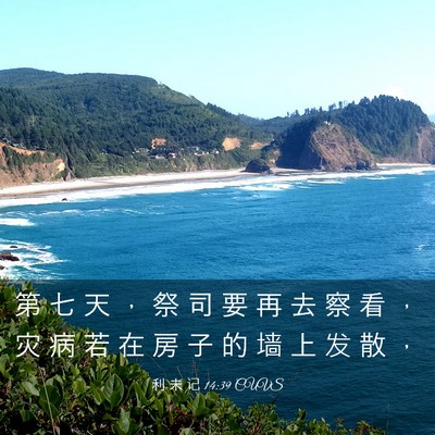 Picture 03 - 利 未 记 14:39 CUVS - 第 七 天 ， 祭 司 要 再 去 察 看 ， - Bible Verse Picture