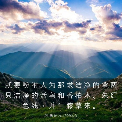 Picture 03 - 利 未 记 14:4 CUVS - 就 要 吩 咐 人 为 那 求 洁 净 的 拿 - Bible Verse Picture