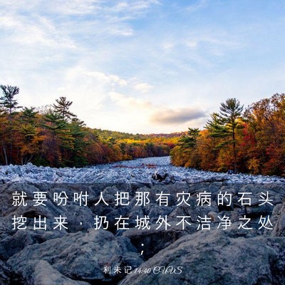 Picture 03 - 利 未 记 14:40 CUVS - 就 要 吩 咐 人 把 那 有 灾 病 的 石 - Bible Verse Picture