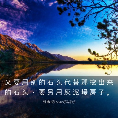 Picture 03 - 利 未 记 14:42 CUVS - 又 要 用 别 的 石 头 代 替 那 挖 出 - Bible Verse Picture