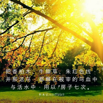 Picture 03 - 利 未 记 14:51 CUVS - 把 香 柏 木 、 牛 膝 草 、 朱 红 色 - Bible Verse Picture