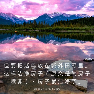 Picture 03 - 利 未 记 14:53 CUVS - 但 要 把 活 鸟 放 在 城 外 田 野 里 - Bible Verse Picture