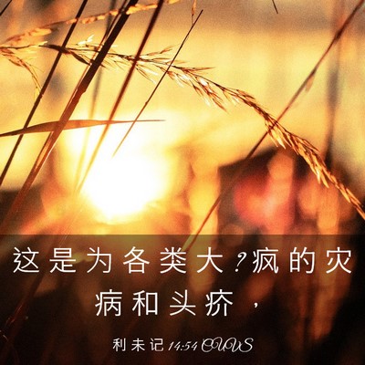 Picture 03 - 利 未 记 14:54 CUVS - 这 是 为 各 类 大 ? 疯 的 灾 病 和 头 - Bible Verse Picture