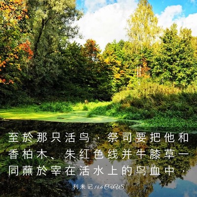 Picture 03 - 利 未 记 14:6 CUVS - 至 於 那 只 活 鸟 ， 祭 司 要 把 他 - Bible Verse Picture