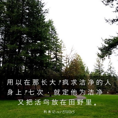 Picture 03 - 利 未 记 14:7 CUVS - 用 以 在 那 长 大 ? 疯 求 洁 净 的 人 - Bible Verse Picture