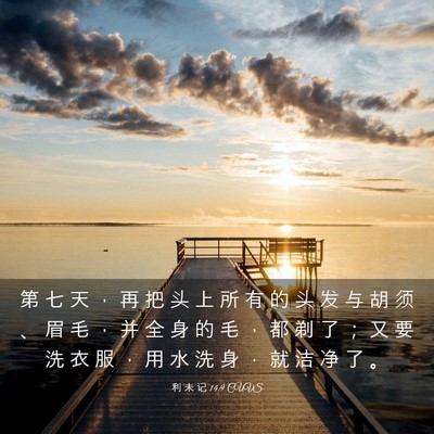Picture 03 - 利 未 记 14:9 CUVS - 第 七 天 ， 再 把 头 上 所 有 的 头 - Bible Verse Picture