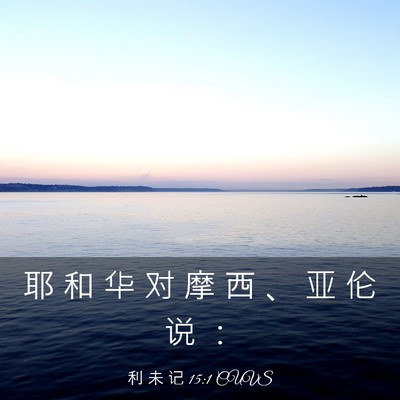 Picture 03 - 利 未 记 15:1 CUVS - 耶 和 华 对 摩 西 、 亚 伦 说 - Bible Verse Picture