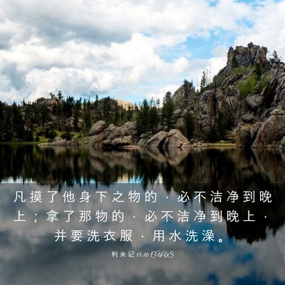 Picture 03 - 利 未 记 15:10 CUVS - 凡 摸 了 他 身 下 之 物 的 ， 必 不 - Bible Verse Picture