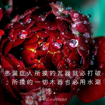 Picture 03 - 利 未 记 15:12 CUVS - 患 漏 症 人 所 摸 的 瓦 器 就 必 打 - Bible Verse Picture