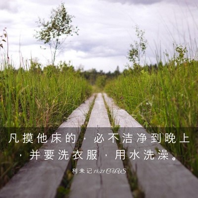 Picture 03 - 利 未 记 15:21 CUVS - 凡 摸 他 床 的 ， 必 不 洁 净 到 晚 - Bible Verse Picture