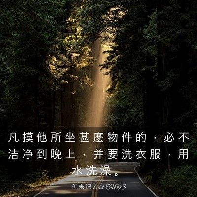 Picture 03 - 利 未 记 15:22 CUVS - 凡 摸 他 所 坐 甚 麽 物 件 的 ， 必 - Bible Verse Picture