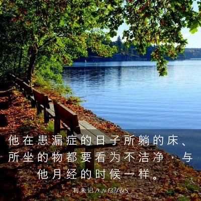 Picture 03 - 利 未 记 15:26 CUVS - 他 在 患 漏 症 的 日 子 所 躺 的 床 - Bible Verse Picture