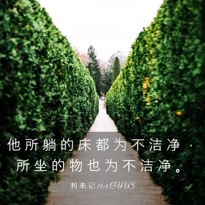 Picture 03 - 利 未 记 15:4 CUVS - 他 所 躺 的 床 都 为 不 洁 净 ， 所 - Bible Verse Picture
