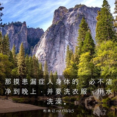Picture 03 - 利 未 记 15:7 CUVS - 那 摸 患 漏 症 人 身 体 的 ， 必 不 - Bible Verse Picture