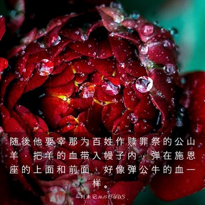 Picture 03 - 利 未 记 16:15 CUVS - 随 後 他 要 宰 那 为 百 姓 作 赎 罪 - Bible Verse Picture