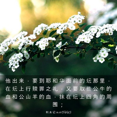Picture 03 - 利 未 记 16:18 CUVS - 他 出 来 ， 要 到 耶 和 华 面 前 的 - Bible Verse Picture