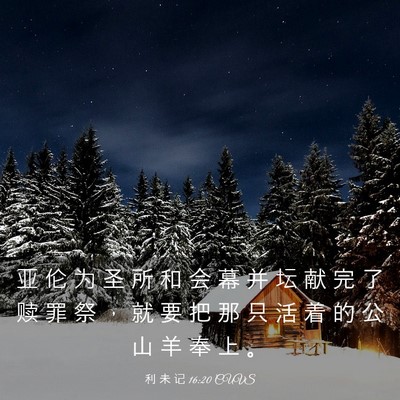 Picture 03 - 利 未 记 16:20 CUVS - 亚 伦 为 圣 所 和 会 幕 并 坛 献 完 - Bible Verse Picture