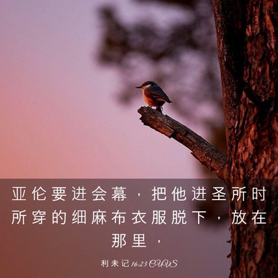 Picture 03 - 利 未 记 16:23 CUVS - 亚 伦 要 进 会 幕 ， 把 他 进 圣 所 - Bible Verse Picture