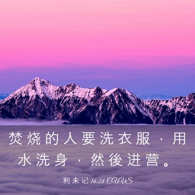 Picture 03 - 利 未 记 16:28 CUVS - 焚 烧 的 人 要 洗 衣 服 ， 用 水 洗 - Bible Verse Picture