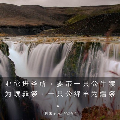 Picture 03 - 利 未 记 16:3 CUVS - 亚 伦 进 圣 所 ， 要 带 一 只 公 牛 - Bible Verse Picture