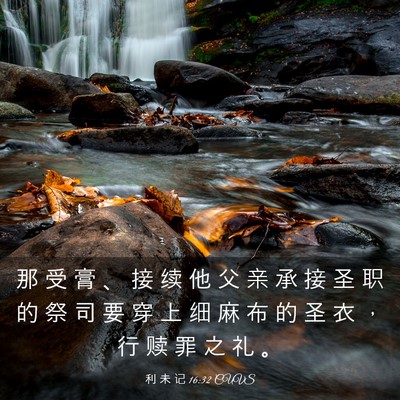 Picture 03 - 利 未 记 16:32 CUVS - 那 受 膏 、 接 续 他 父 亲 承 接 圣 - Bible Verse Picture