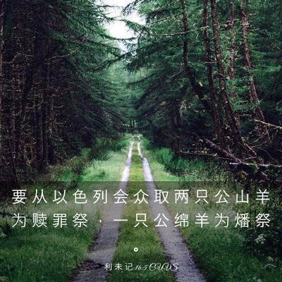 Picture 03 - 利 未 记 16:5 CUVS - 要 从 以 色 列 会 众 取 两 只 公 山 - Bible Verse Picture