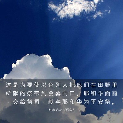 Picture 03 - 利 未 记 17:5 CUVS - 这 是 为 要 使 以 色 列 人 把 他 们 - Bible Verse Picture