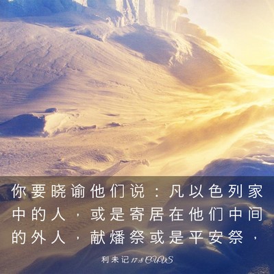 Picture 03 - 利 未 记 17:8 CUVS - 你 要 晓 谕 他 们 说 ： 凡 以 色 列 - Bible Verse Picture