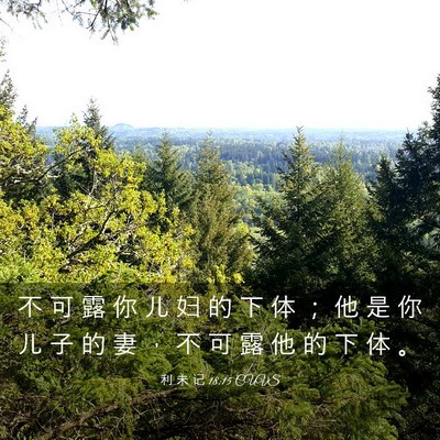 Picture 03 - 利 未 记 18:15 CUVS - 不 可 露 你 儿 妇 的 下 体 ； 他 是 - Bible Verse Picture