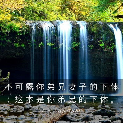 Picture 03 - 利 未 记 18:16 CUVS - 不 可 露 你 弟 兄 妻 子 的 下 体 ； - Bible Verse Picture