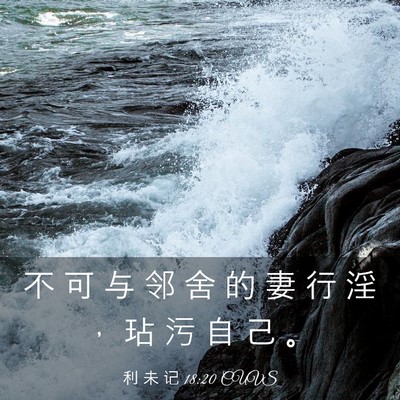 Picture 03 - 利 未 记 18:20 CUVS - 不 可 与 邻 舍 的 妻 行 淫 ， 玷 污 - Bible Verse Picture