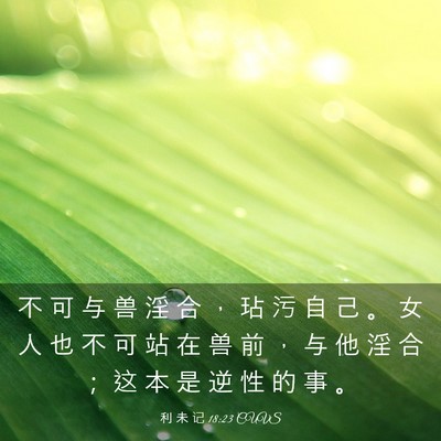 Picture 03 - 利 未 记 18:23 CUVS - 不 可 与 兽 淫 合 ， 玷 污 自 己 。 - Bible Verse Picture