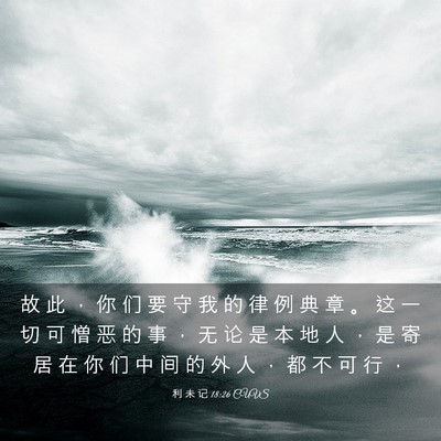 Picture 03 - 利 未 记 18:26 CUVS - 故 此 ， 你 们 要 守 我 的 律 例 典 - Bible Verse Picture