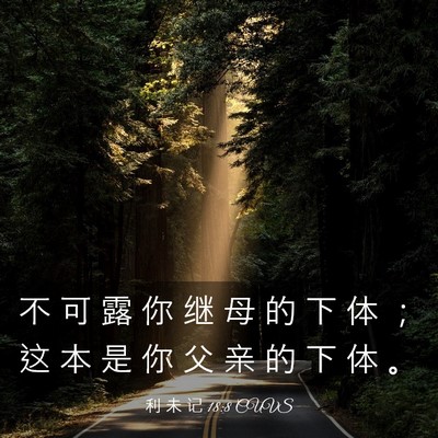 Picture 03 - 利 未 记 18:8 CUVS - 不 可 露 你 继 母 的 下 体 ； 这 本 - Bible Verse Picture