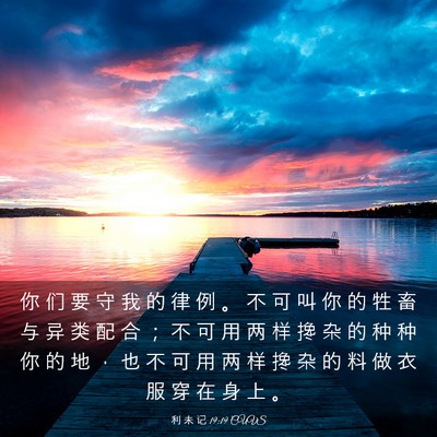 Picture 03 - 利 未 记 19:19 CUVS - 你 们 要 守 我 的 律 例 。 不 可 叫 - Bible Verse Picture