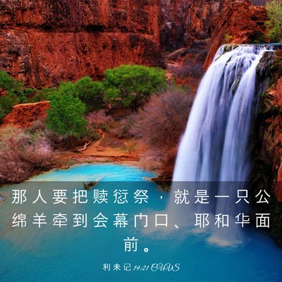 Picture 03 - 利 未 记 19:21 CUVS - 那 人 要 把 赎 愆 祭 ， 就 是 一 只 - Bible Verse Picture