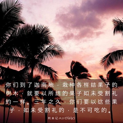Picture 03 - 利 未 记 19:23 CUVS - 你 们 到 了 迦 南 地 ， 栽 种 各 样 - Bible Verse Picture
