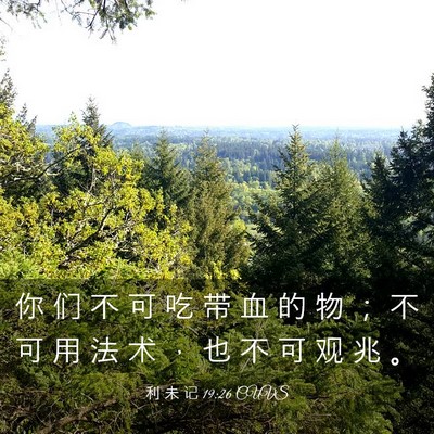 Picture 03 - 利 未 记 19:26 CUVS - 你 们 不 可 吃 带 血 的 物 ； 不 可 - Bible Verse Picture