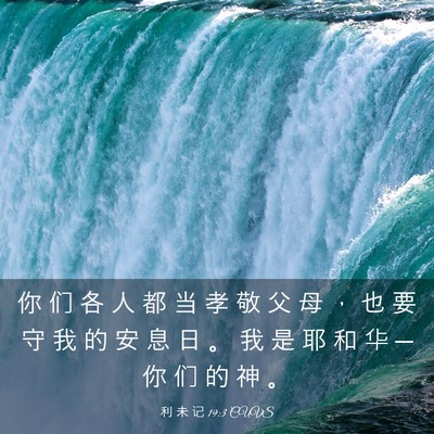 Picture 03 - 利 未 记 19:3 CUVS - 你 们 各 人 都 当 孝 敬 父 母 ， 也 - Bible Verse Picture