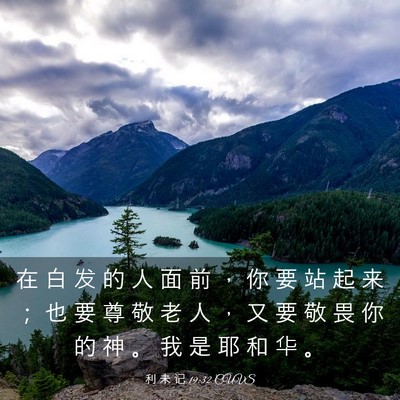 Picture 03 - 利 未 记 19:32 CUVS - 在 白 发 的 人 面 前 ， 你 要 站 起 - Bible Verse Picture