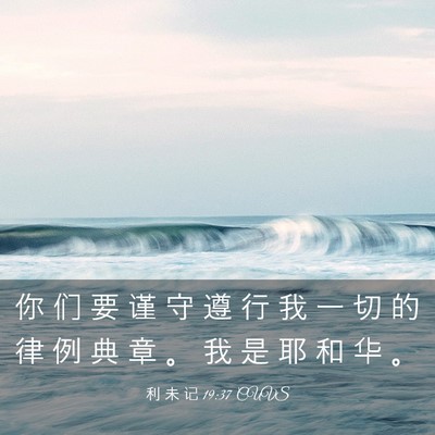 Picture 03 - 利 未 记 19:37 CUVS - 你 们 要 谨 守 遵 行 我 一 切 的 律 - Bible Verse Picture