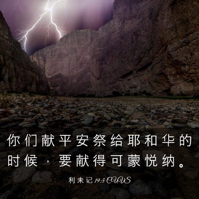 Picture 03 - 利 未 记 19:5 CUVS - 你 们 献 平 安 祭 给 耶 和 华 的 时 - Bible Verse Picture